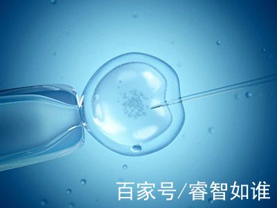 王晨光主任
